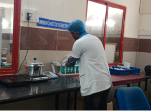 Immunohistochemistry